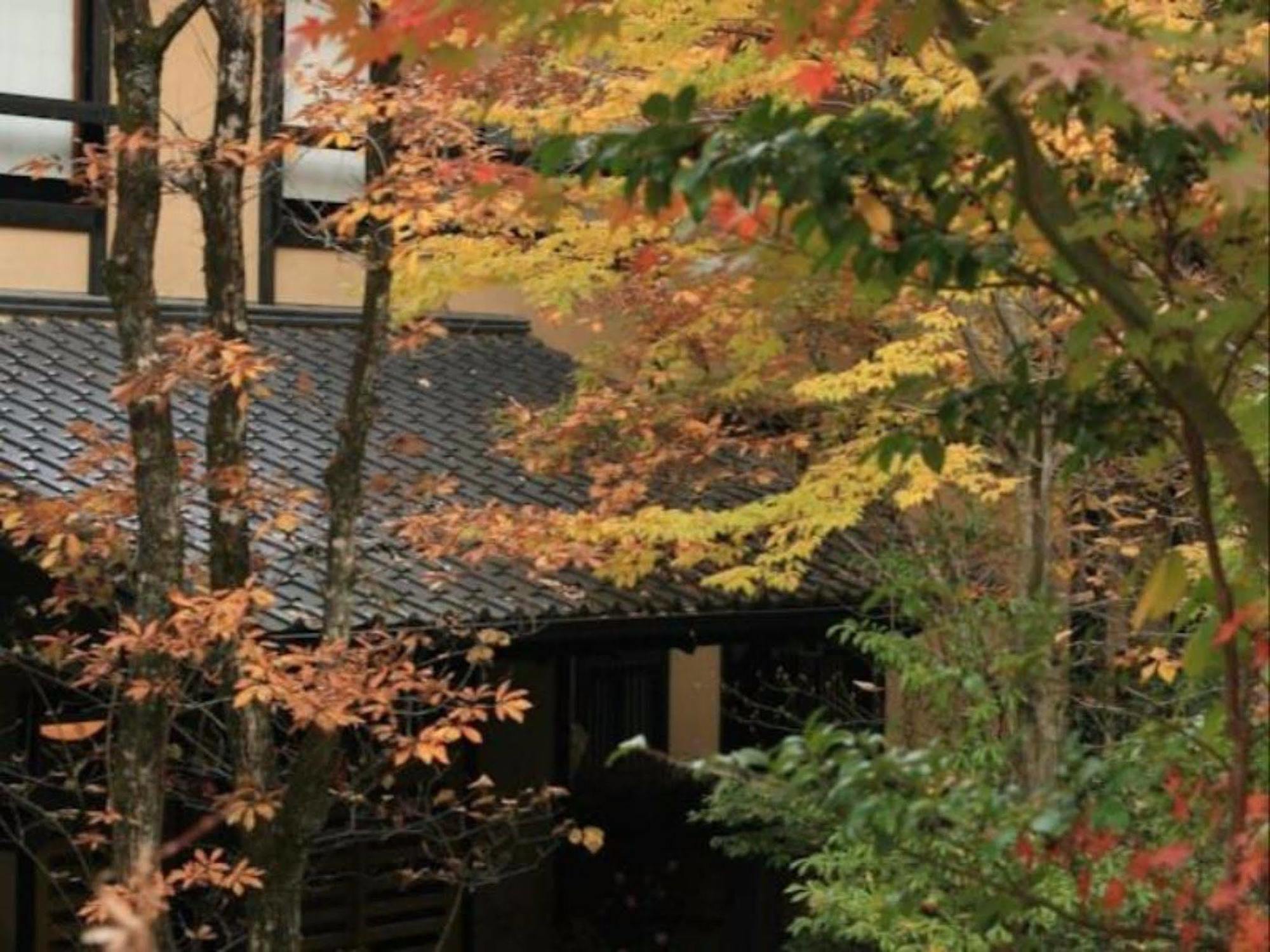Ryokan Wakaba Minamioguni Kültér fotó